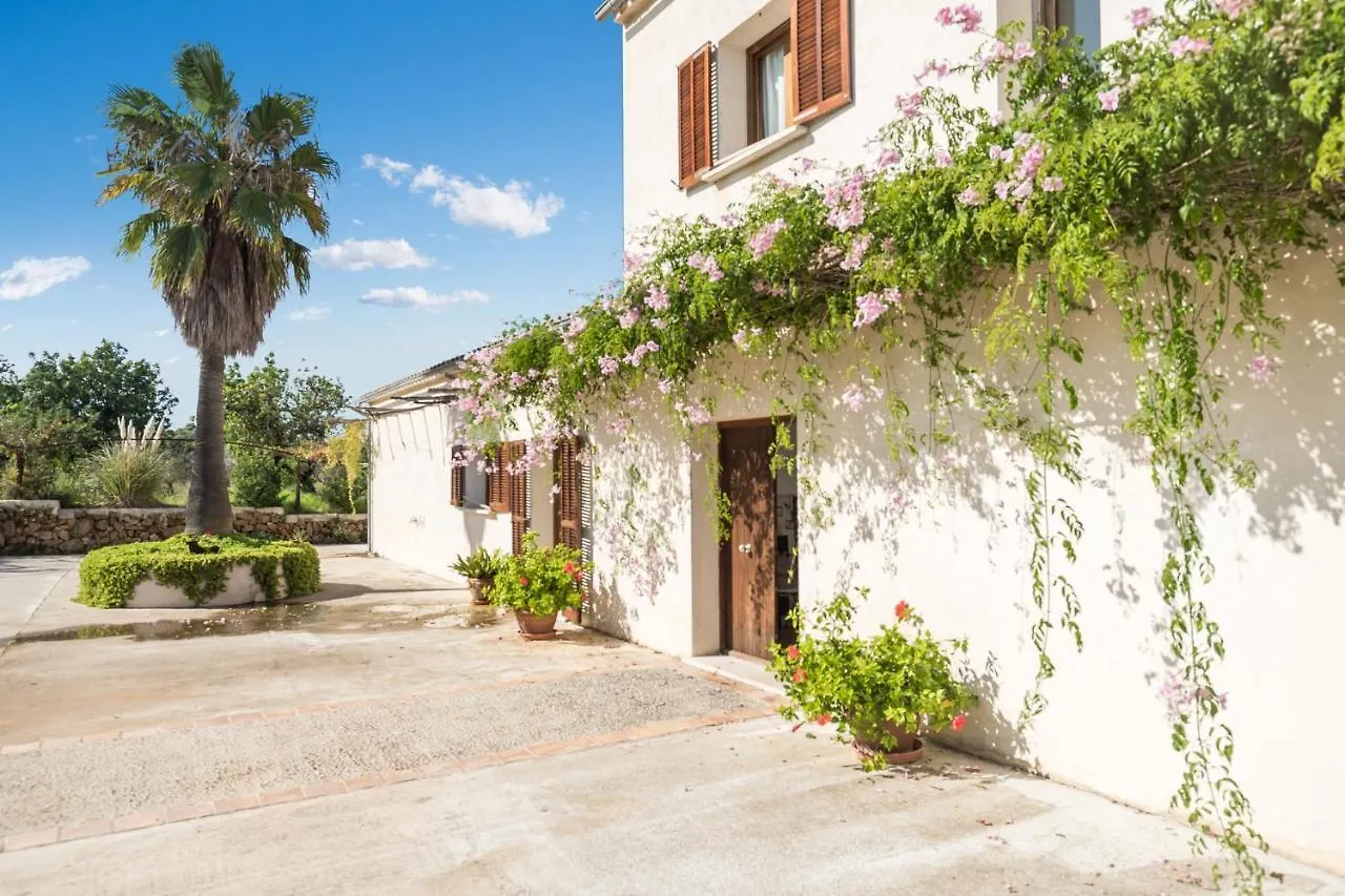 Finca Na Blanca Petra  Spagna